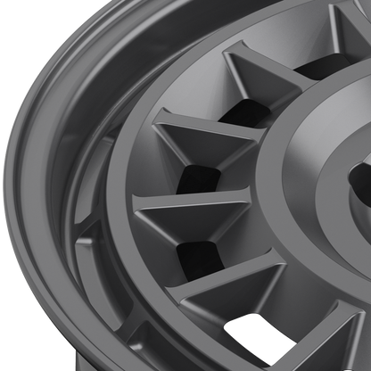 Alpen SV _ Frosted Graphite